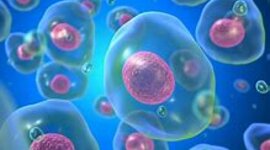 Timeline: Teoría celular