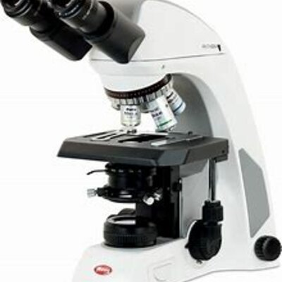 Timeline: Tipos de Microscopio