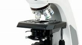 Timeline: Tipos de Microscopio