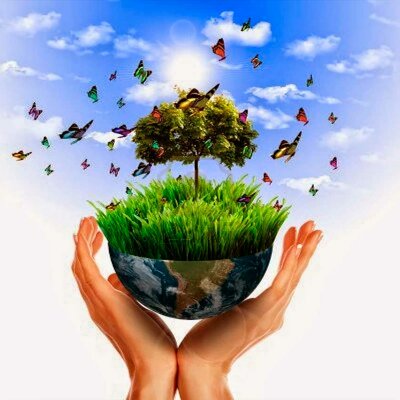 Timeline: Derecho del medio ambiente