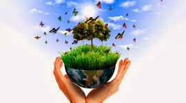 Timeline: Derecho del medio ambiente