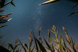 LA TEORÍA CÓSMICA O SIDERAL