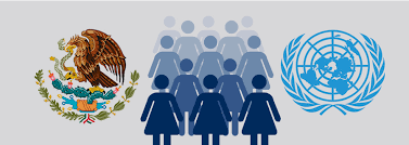 Creación del Marco Normativo e Institucional