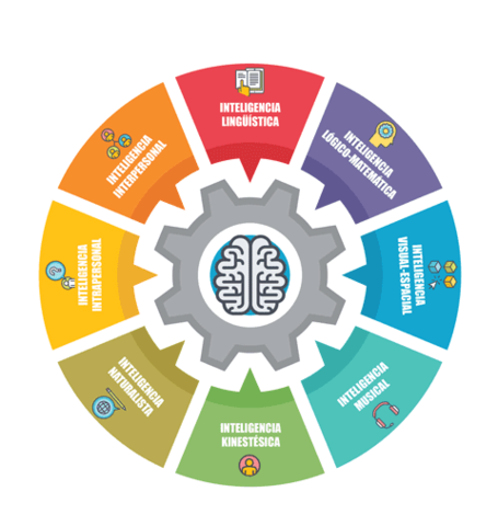 Howard Gardner: Inteligencias múltiples