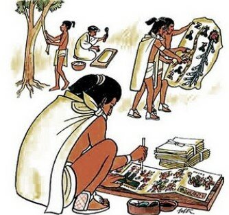 Educación universal