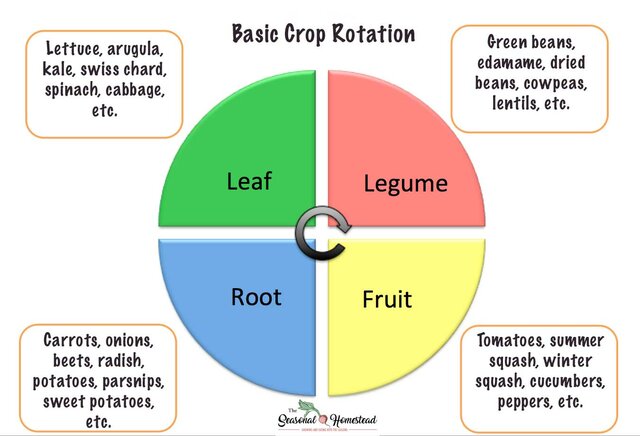 4 Year Crop Rotation Plan is Adopted