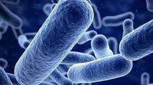 Proving that micro-organisms cause disease