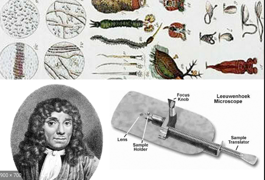 Anton van Leeuwenhoek