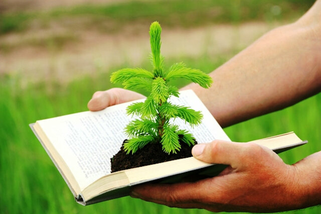 Relación de la sociedad con la naturaleza