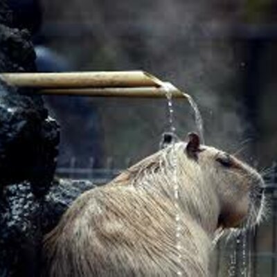 Timeline: Han Dynasty begins in China