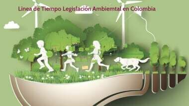 Ley No. 0939 y Decreto No. 1443 de 2004