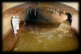 Decreto No. 3930 de 2010