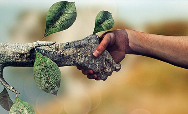 Decreto No. 3582-2011