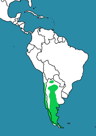 Distribución