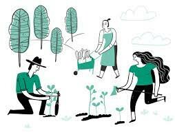 origen la economía solidaria