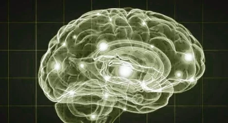 TAXONOMÍA DE LAS ENFERMEDADES