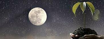 ● La teoría cósmica o sideral.