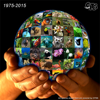 C.I.T.E.S. Formed by IUCN