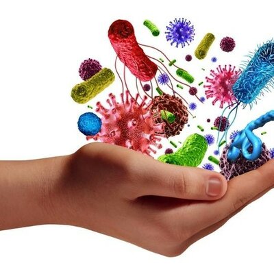 Timeline: Historia de los conceptos de causa y enfermedad: paralelismo entre la Medicina y la Fitopatología (Volcy, 2007). "Elaborado por Andrés E. Mejia"