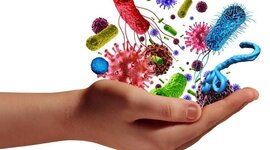 Timeline: Historia de los conceptos de causa y enfermedad: paralelismo entre la Medicina y la Fitopatología (Volcy, 2007). "Elaborado por Andrés E. Mejia"