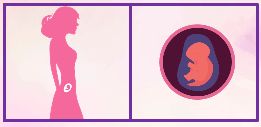 Primer mes de embarazo