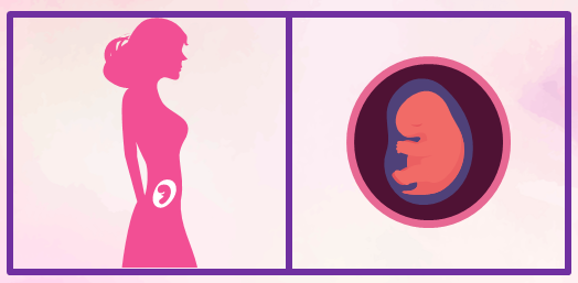 Segundo mes de embarazo