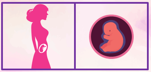 Tercer mes de embarazo