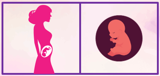 Cuarto mes de embarazo