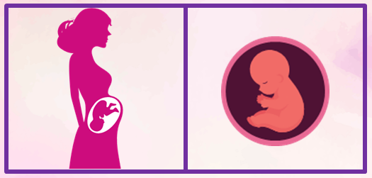 Sexto mes de embarazo