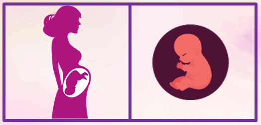 Séptimo mes de embarazo