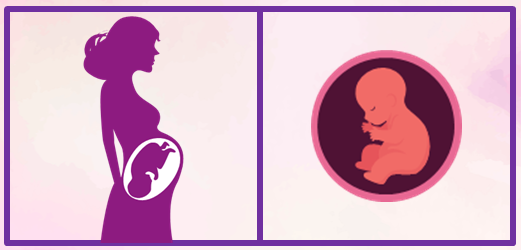 Octavo mes de embarazo