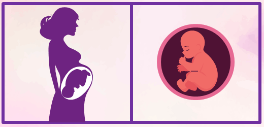 Noveno mes de embarazo