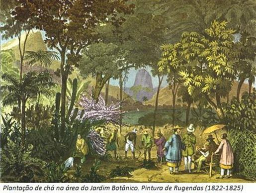 Criação do Jardim Botânico do Rio de Janeiro