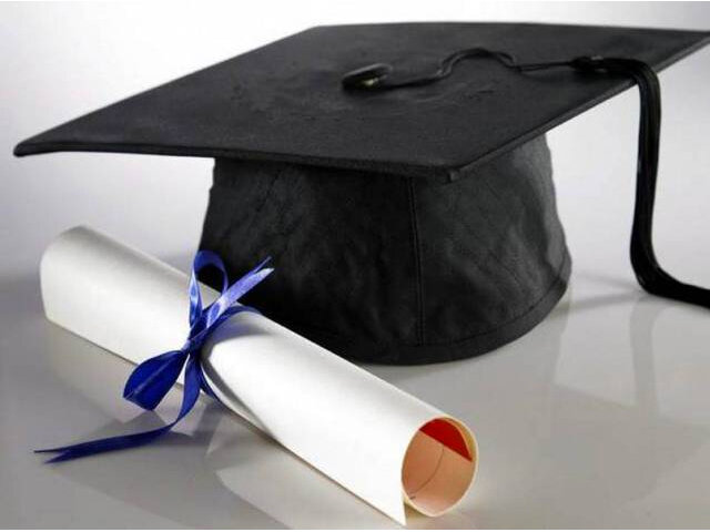 estudios universitarios