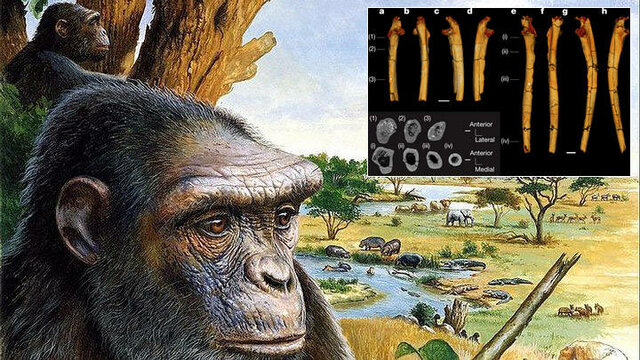 La especie humana aparece por primera vez