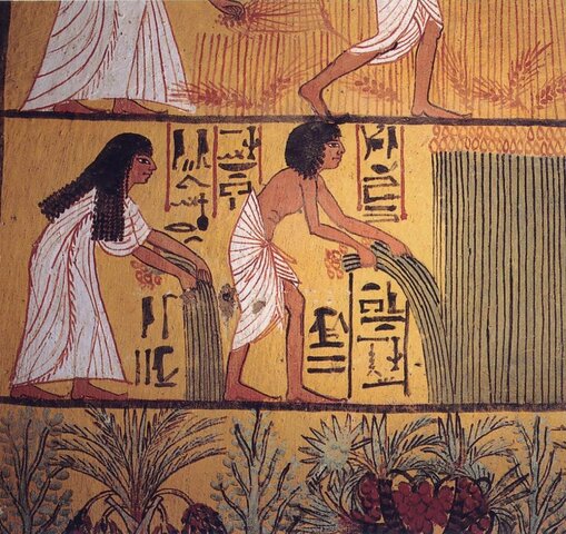 3. La enfermedad en la agricultura