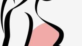 Timeline: DESARROLLO PRENATAL