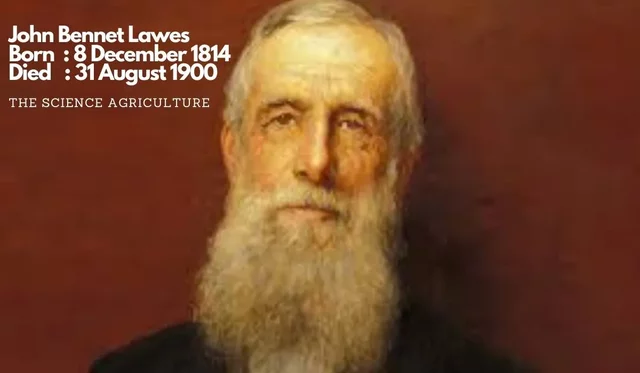 Chemical fertilizers were