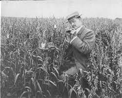 Garton's agricultural plant breeders in England established