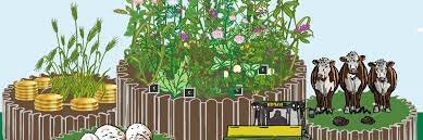 Ley farming became widely used