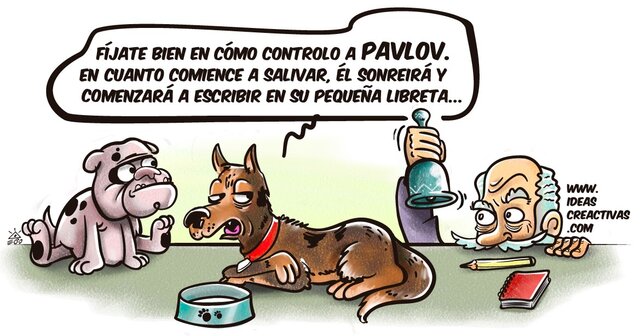 Rubén Ardila es nombrado director del departamento de psicología, cabe destacar que esto fue poco después de recibir su doctorado (Ph.D.) en Psicología de la Universidad de Nebraska