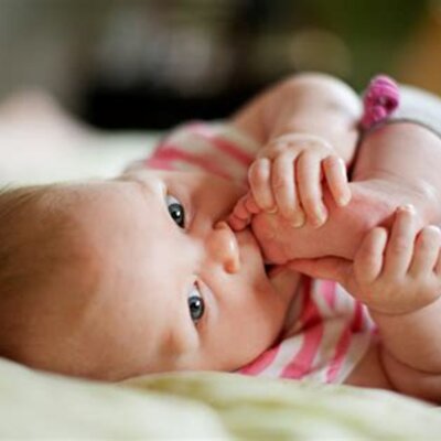 Timeline: DESARROLLO PRENATAL