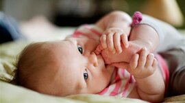 Timeline: DESARROLLO PRENATAL