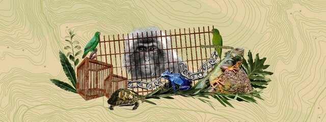 se concertó la Estrategia Binacional