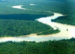 La Corte Constitucional