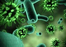 Los microbios patogenos