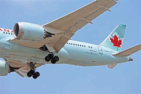 ESTRUCTURAS DE PLASTICOS