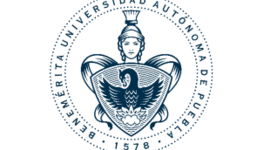 Timeline: Seguridad social