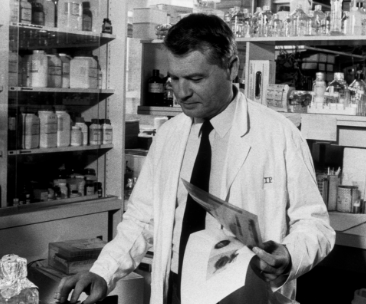 HIV was identified to causing AIDS