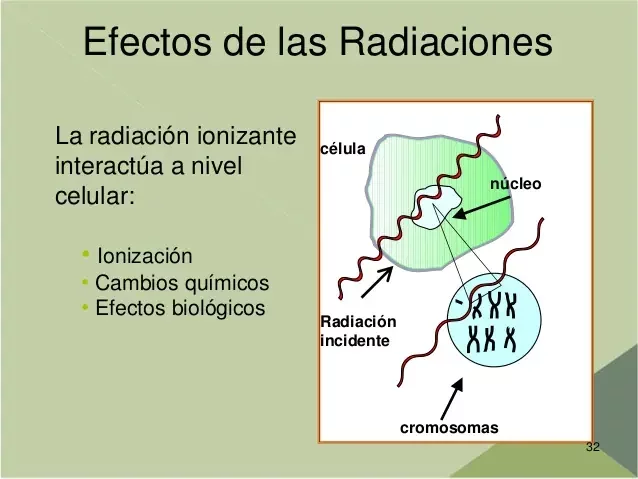 Primer Evento Efectos Biológicos de la Radiación